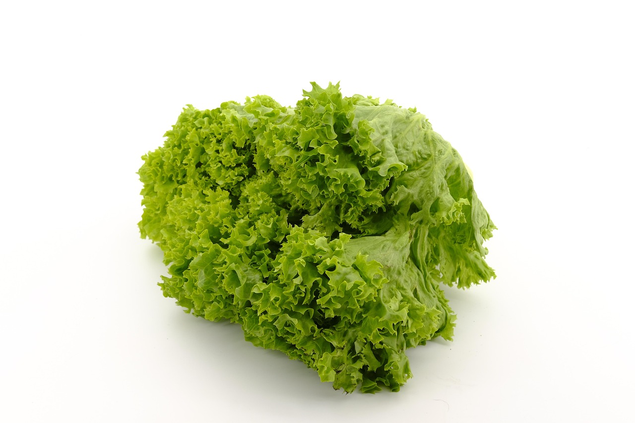 Lettuce